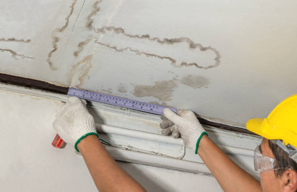 Reliable Mold Remediation contractor in Ector, TX by Water Damage Irwin